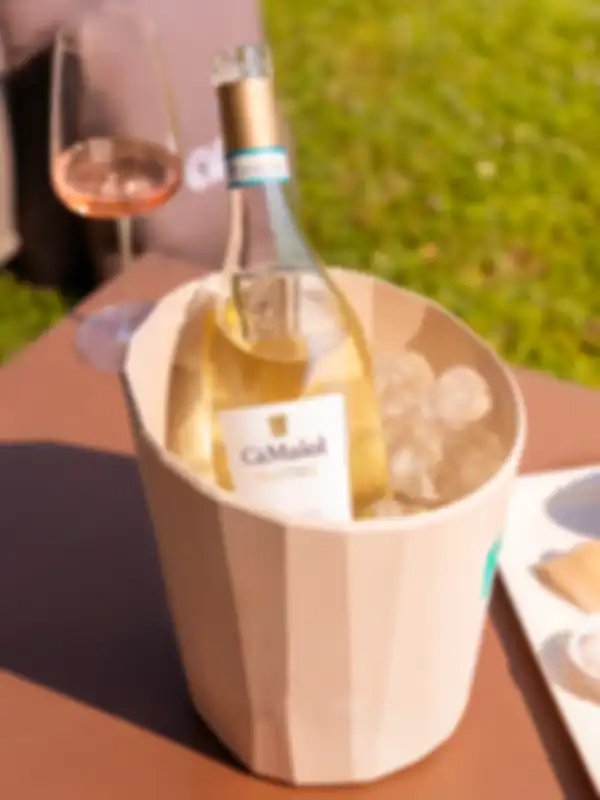 Quale vino scegliere per un aperitivo: consigli e proposte