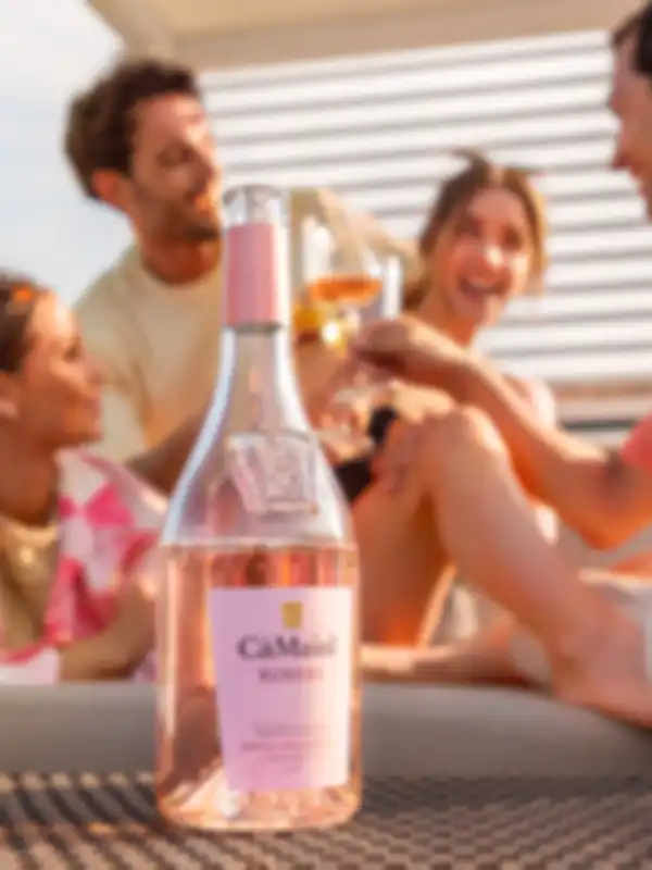 Quale vino scegliere per un aperitivo: consigli e proposte