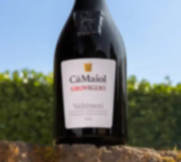 CaMaiol-Groviglio-Blocco-Foto-01